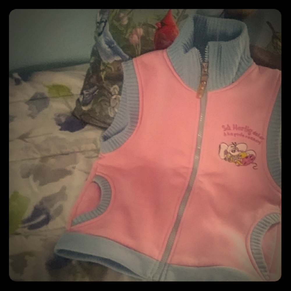 Vest
